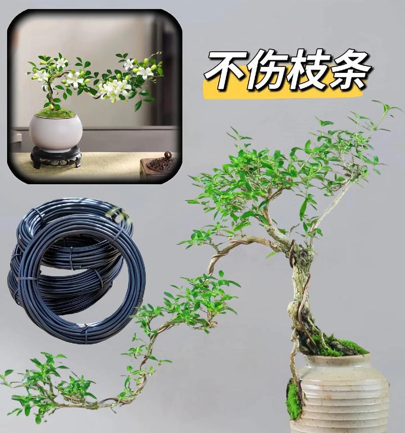 金属丝盆景制作的步骤和技巧是什么？