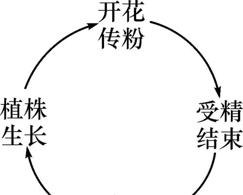 被子植物有哪些种类？被子植物的特点和养护方法是什么？