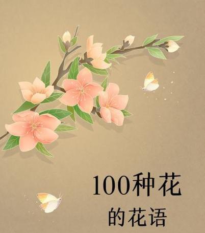 雪蓝花的养殖技巧有哪些？如何保持其鲜艳的色彩？