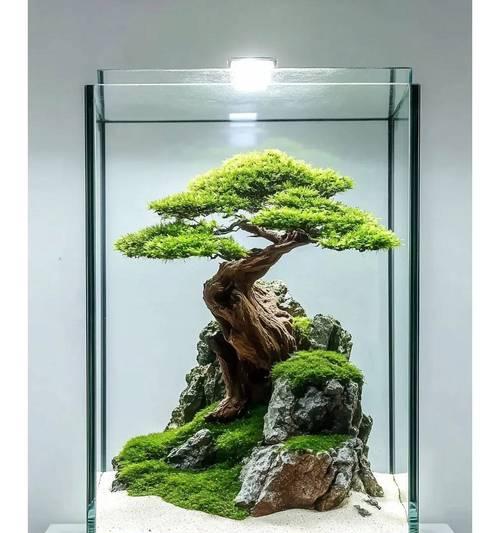 哪些植物适合做微景观？微景观的制作方法是什么？