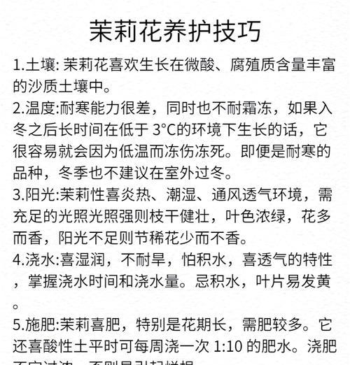 茉莉花的养殖和护理要点是什么？