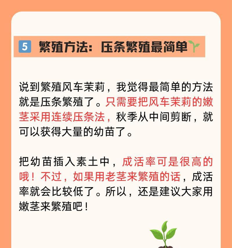 茉莉花的养殖和护理要点是什么？