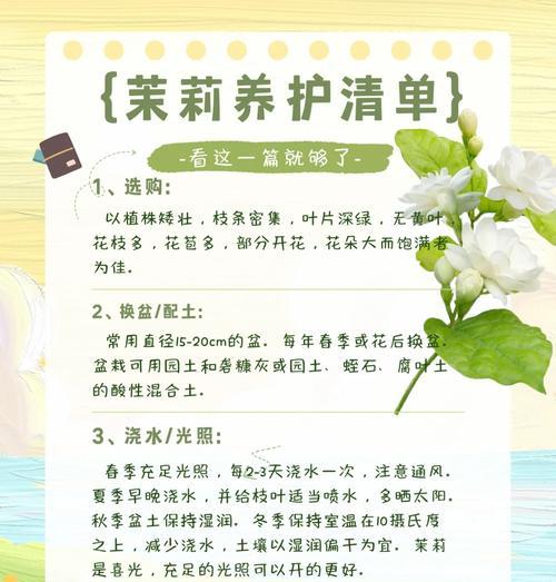 茉莉花的养殖和护理要点是什么？