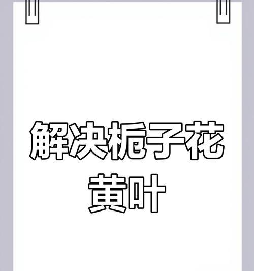 栀子花黄叶的原因及预防措施有哪些？