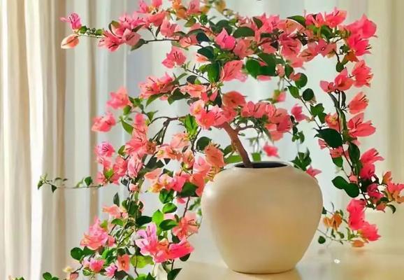 春季适合种植哪些花卉？春天养花的注意事项？