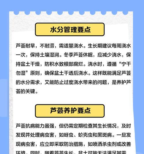 种芦荟的正确步骤是什么？如何确保芦荟健康成长？
