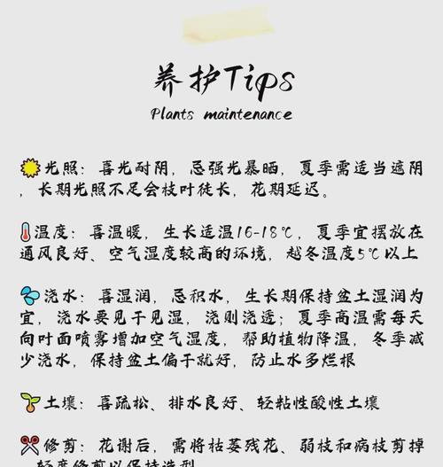 栀子花凋谢后如何养护？