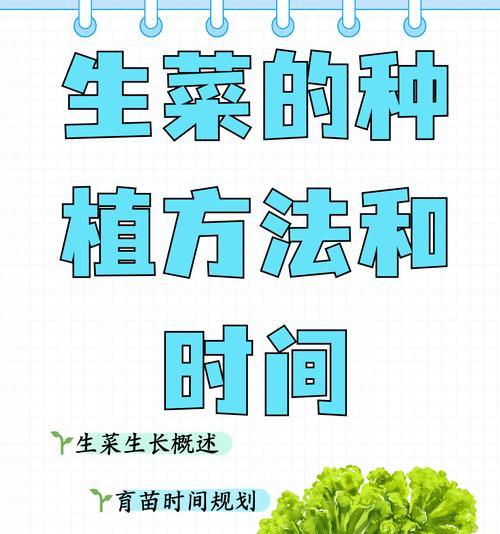 一寸心植物的养护方法是什么？如何确保其健康成长？