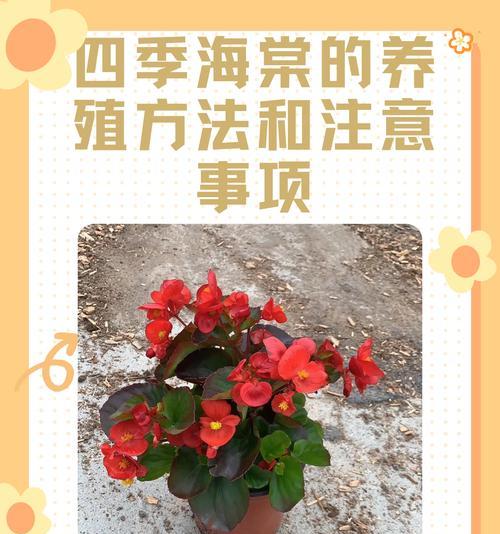 金手指开花的条件和养护技巧是什么？