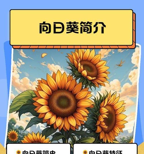 向阳花是什么意思？它在园艺和文化中的地位如何？