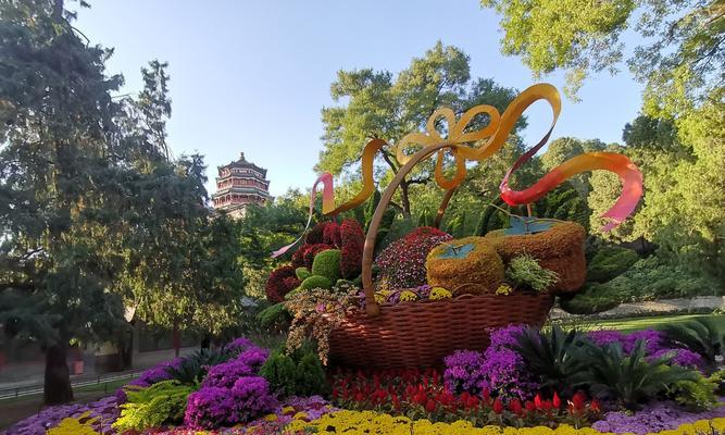 花坛中适合种植哪些花卉？花坛花卉的选择标准是什么？