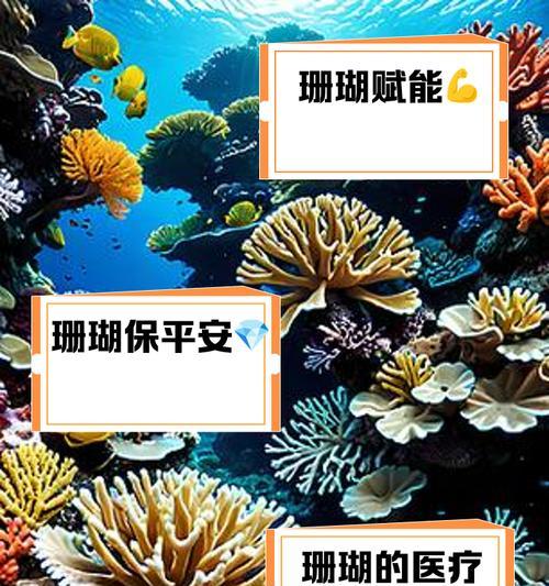 冬珊瑚的养殖技巧有哪些？