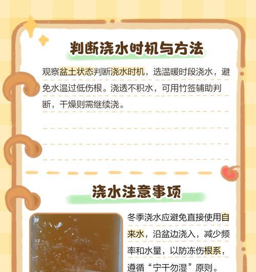 盆花浇水技巧有哪些?多久浇一次水合适?