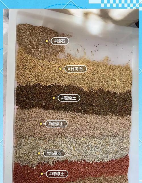 种花土怎么配制?配制优质花土的秘诀是什么?
