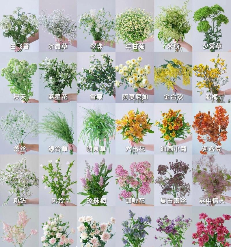 团状花材都有哪些种类？团状花材的特点是什么？