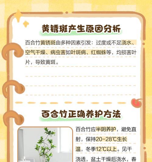 盆竹叶子发黄的处理方法是什么？