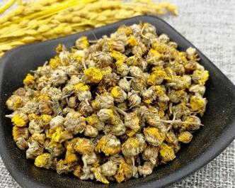 野菊花有哪些不同的种类？