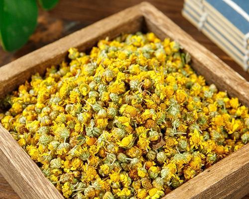 野菊花有哪些不同的种类？