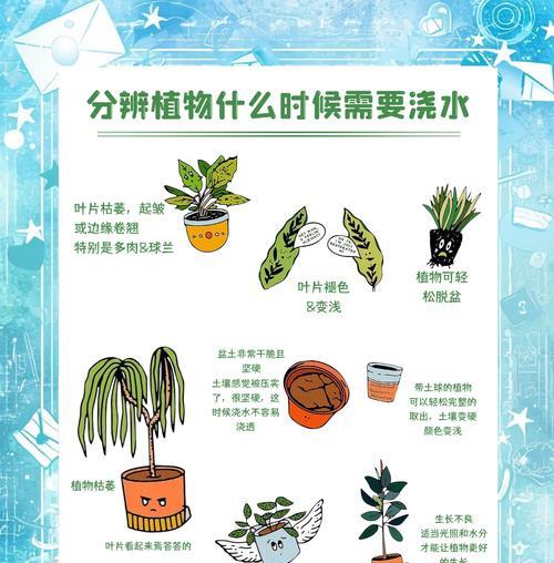 盆栽浇水技巧有哪些？如何正确进行盆栽浇水？