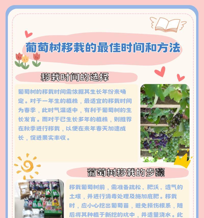 大树移植的正确步骤是什么？大树移植需要注意什么？