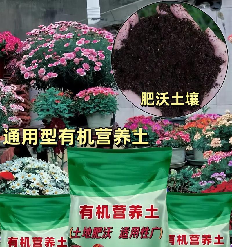 花土杀菌方法有哪些？如何确保土壤无菌？