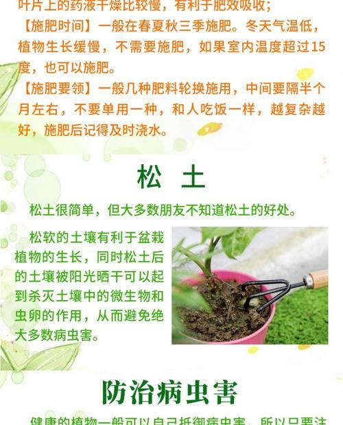 花土杀菌方法有哪些？如何确保土壤无菌？