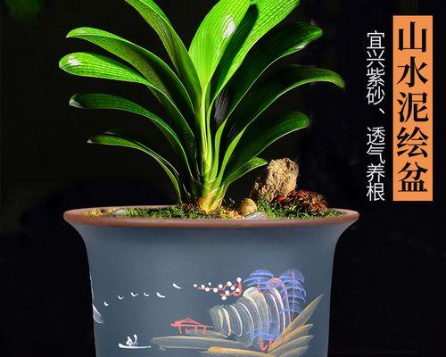 选择合适花盆的标准和技巧是什么？