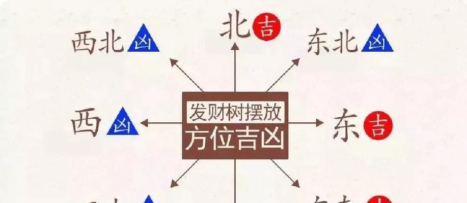 发财树摆放风水讲究有哪些？如何正确摆放发财树？