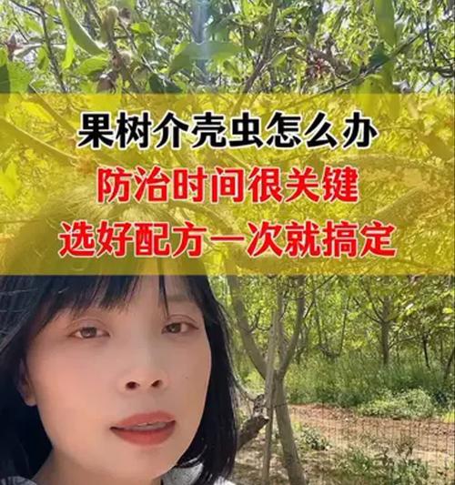 怎么预防蚧壳虫？预防和处理蚧壳虫的有效方法是什么？
