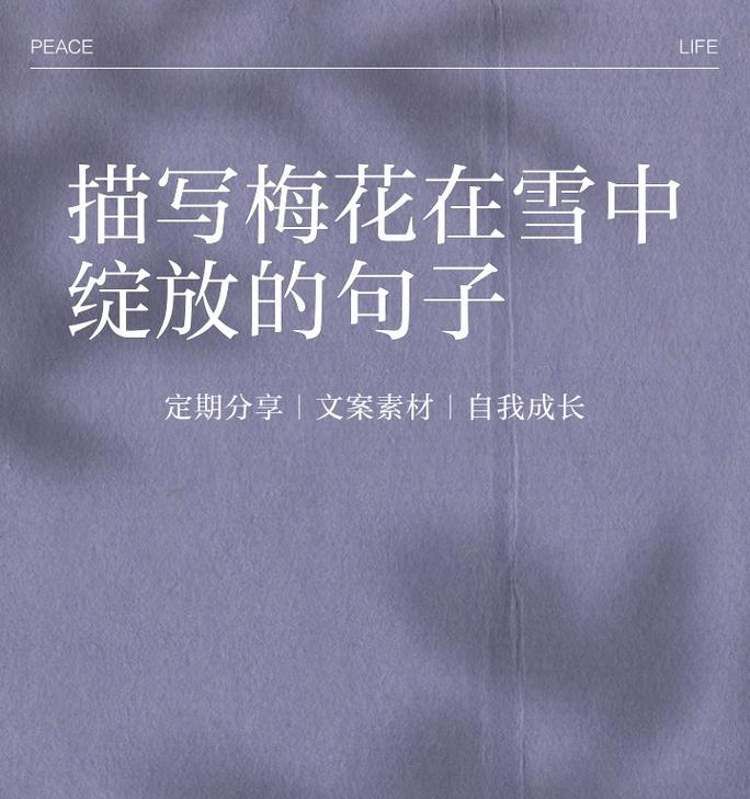 梅花在哪个季节绽放？