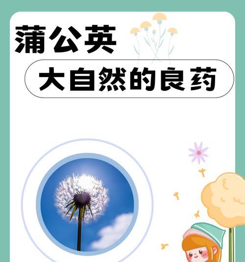蒲公英的象征意义是什么？