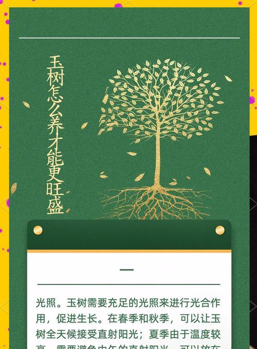 玉树的养殖方法和常见问题解答？