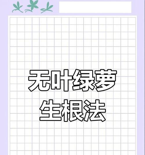 绿萝繁殖有哪些简单方法？繁殖后如何保证成活率？