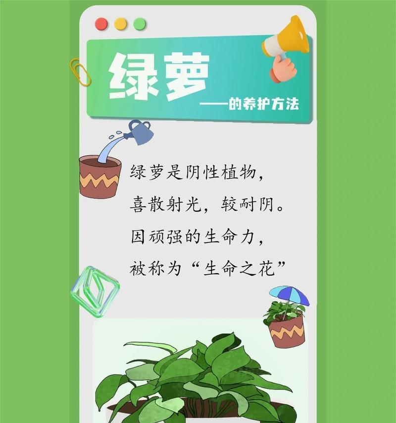 绿萝繁殖有哪些简单方法？繁殖后如何保证成活率？