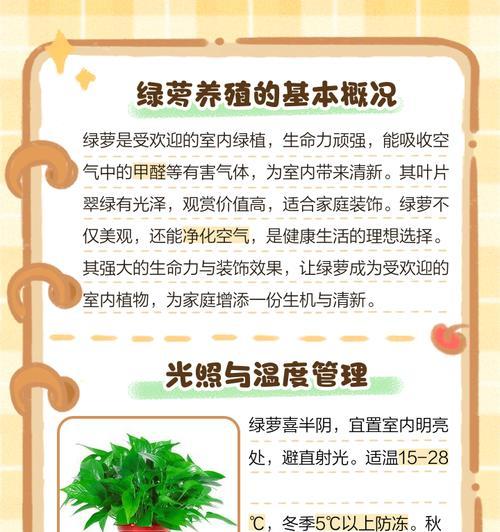 绿萝繁殖有哪些简单方法？繁殖后如何保证成活率？
