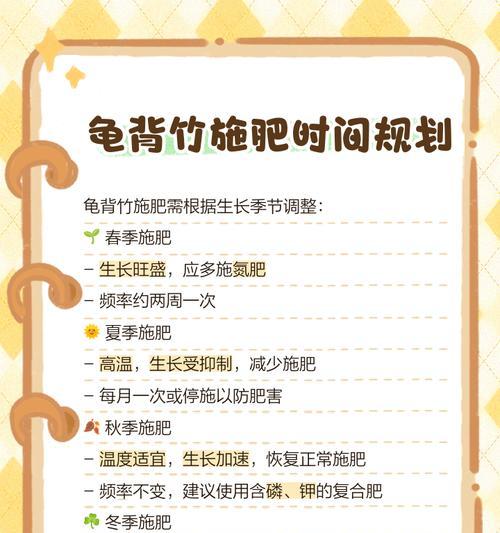 龟背竹施肥指南：什么肥料最适合？