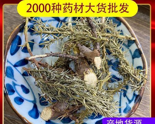 刺柏的养殖方法和注意事项有哪些？