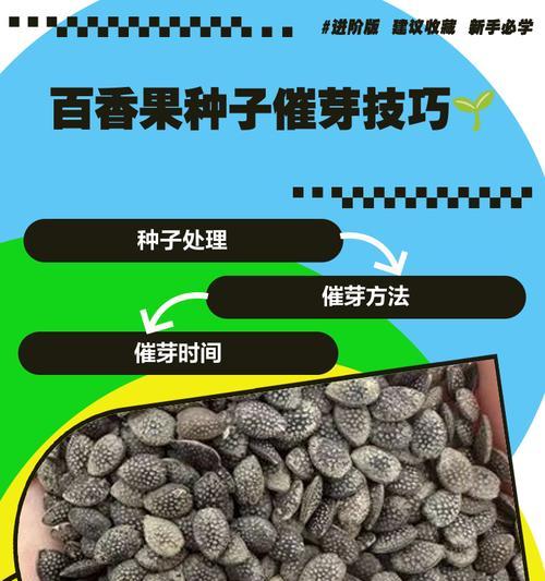 百香果盆栽怎么种？种植步骤和注意事项是什么？