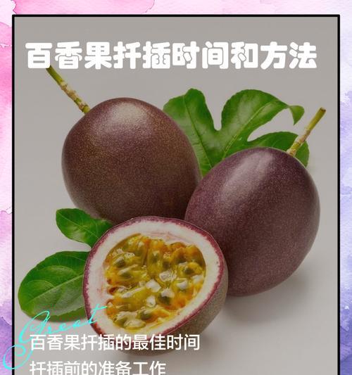 百香果盆栽怎么种？种植步骤和注意事项是什么？