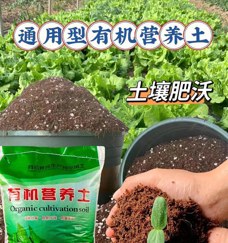 养花用什么土？哪种土壤最适合花卉生长？