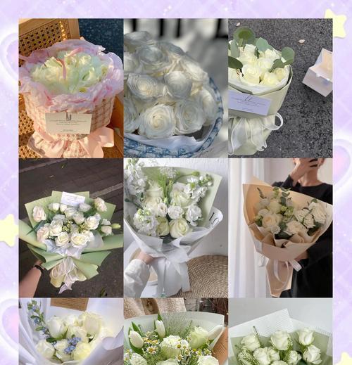 白玫瑰种植过程中需要注意哪些问题？