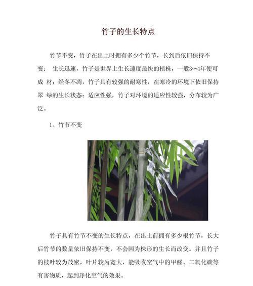 竹子有哪些品种？不同品种竹子的特点和用途是什么？
