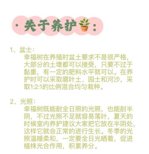幸福树的养殖方法和注意事项是什么？
