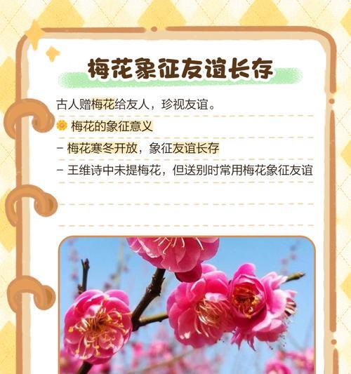 梅花还有哪些别称？探索梅花的多样文化内涵！