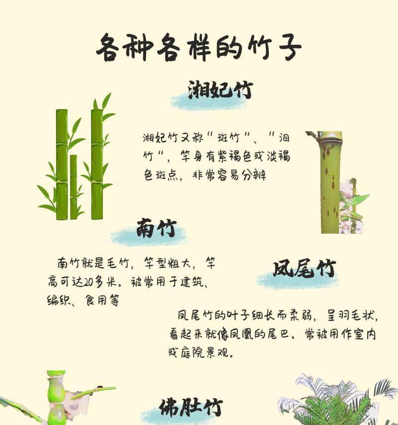 竹子在文化中象征着什么？竹子的寓意有哪些？