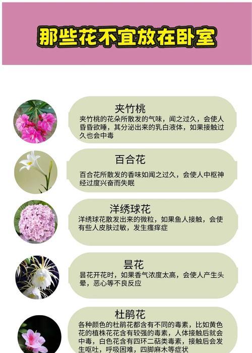 花卉什么时候移到室内？如何判断花卉需要室内养护？