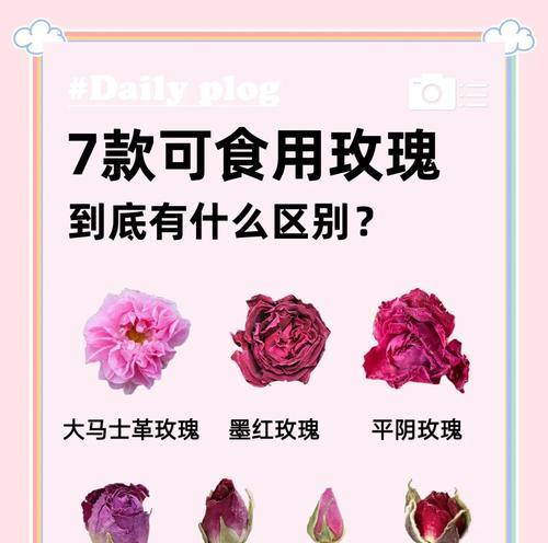 玫瑰花种植的秘诀是什么？