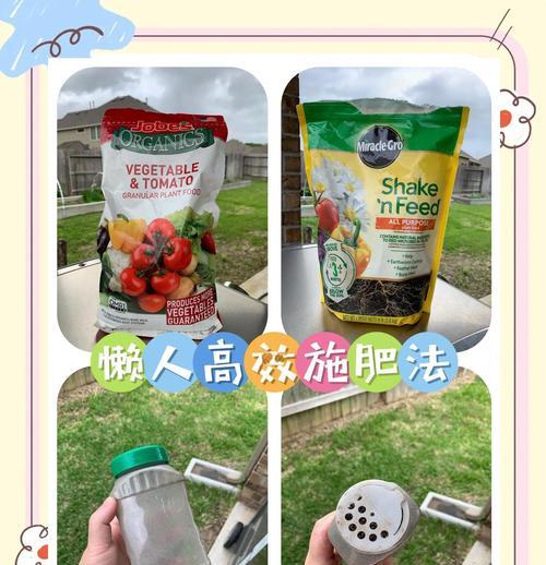 怎么给盆景施肥？盆景施肥的正确方法和注意事项是什么？