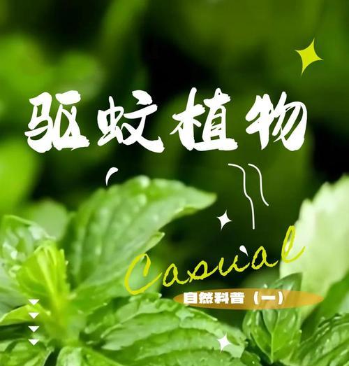 有哪些植物可以防蚊？防蚊植物的选择和使用方法是什么？