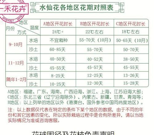 水仙花开花的秘诀是什么？如何正确养护？